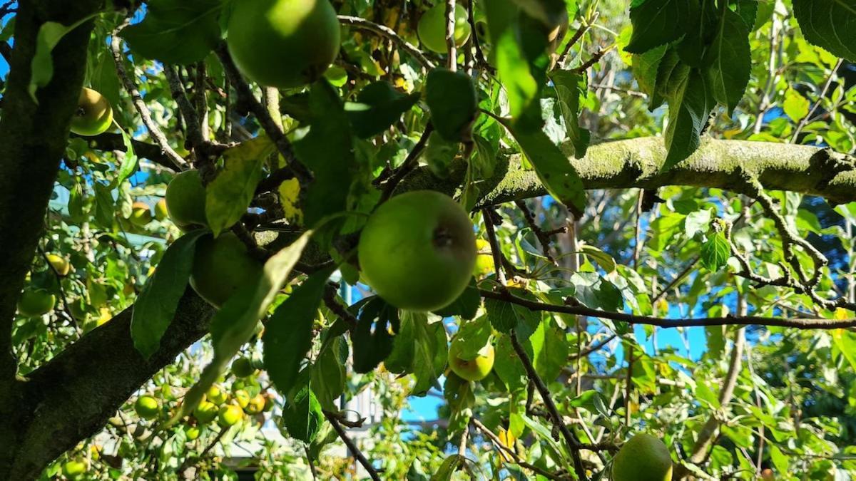 格雷敦Bidwills Gem别墅 外观 照片